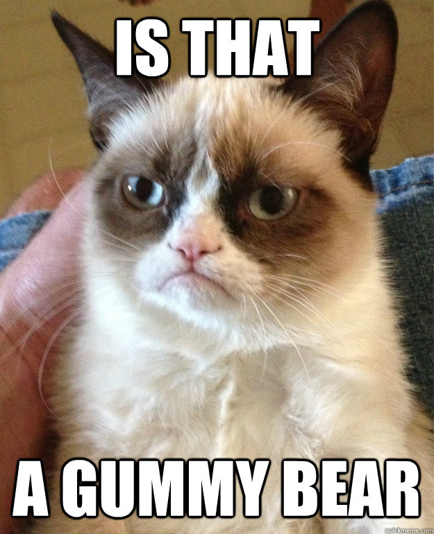 IS THAT A GUMMY BEAR - IS THAT A GUMMY BEAR  Grumpy Cat