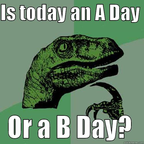 IS TODAY AN A DAY  OR A B DAY? Philosoraptor