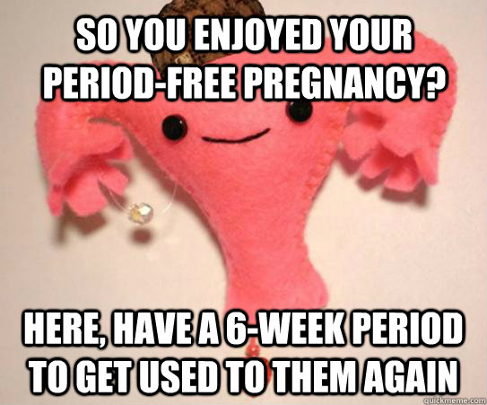 So you enjoyed your period-free pregnancy? Here, have a 6-week period to get used to them again  Scumbag Uterus