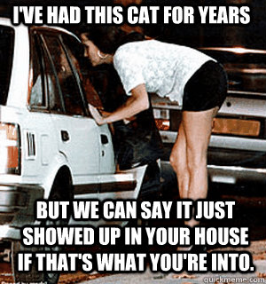 I've had this cat for years But we can say it just showed up in your house if that's what you're into.  Karma Whore