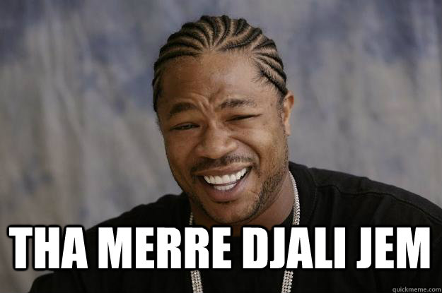 THA MERRE DJALI JEM - THA MERRE DJALI JEM  Xzibit meme