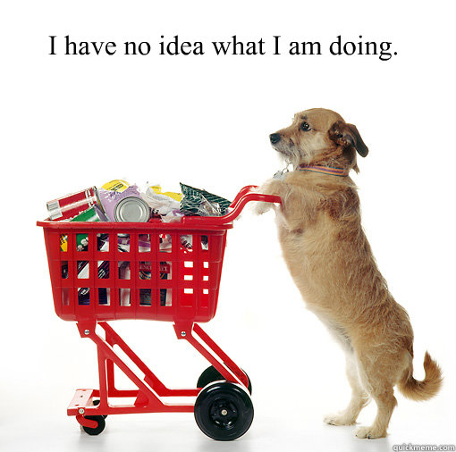 I have no idea what I am doing.  Shopping dog