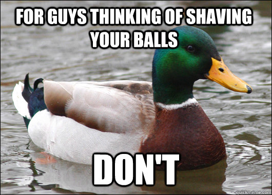 For guys thinking of shaving your balls Don't  Actual Advice Mallard