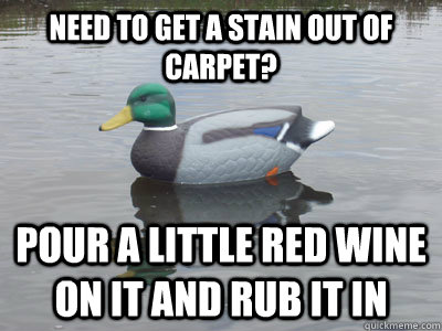 Need to get a stain out of carpet? Pour a little red wine on it and rub it in - Need to get a stain out of carpet? Pour a little red wine on it and rub it in  Karma Decoy