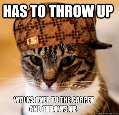 Has to throw up Walks over to the carpet and throws up.  Scumbag Cat