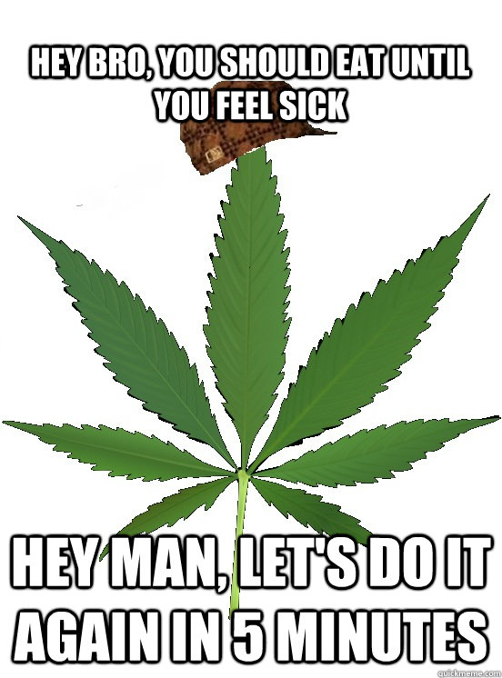 Hey bro, you should eat until you feel sick hey man, let's do it again in 5 minutes - Hey bro, you should eat until you feel sick hey man, let's do it again in 5 minutes  Scumbag cannabis
