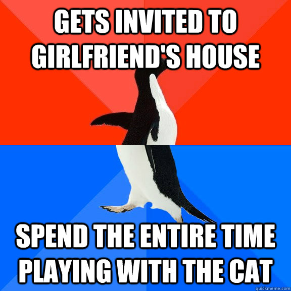 Gets invited to girlfriend's house spend the entire time playing with the cat  Socially Awesome Awkward Penguin