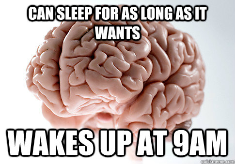 can sleep for as long as it wants wakes up at 9am  Scumbag Brain
