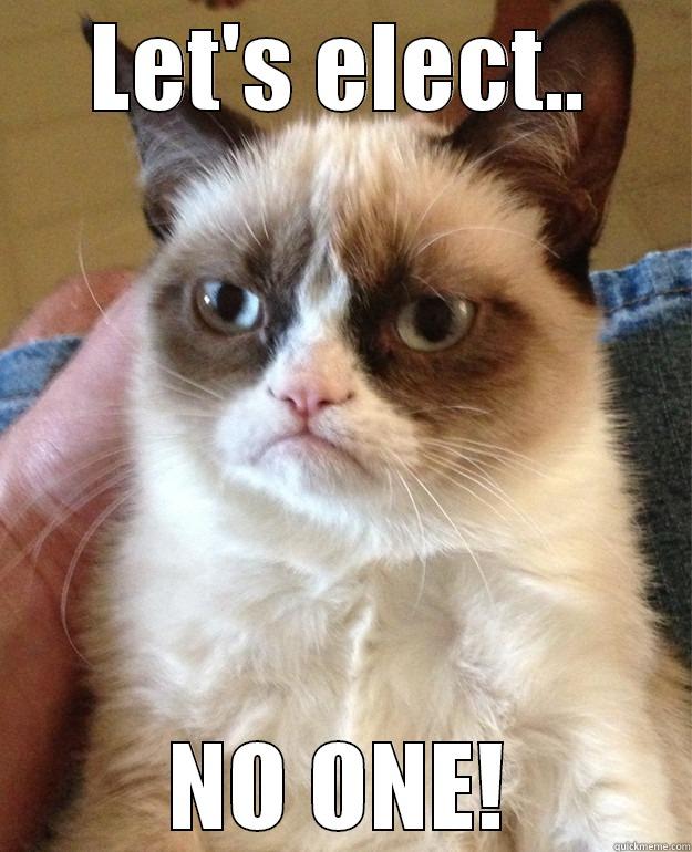 Grumpy Cat, Election 2016 - LET'S ELECT.. NO ONE! Grump Cat