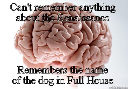 CAN'T REMEMBER ANYTHING ABOUT THE RENAISSANCE REMEMBERS THE NAME OF THE DOG IN FULL HOUSE Scumbag Brain