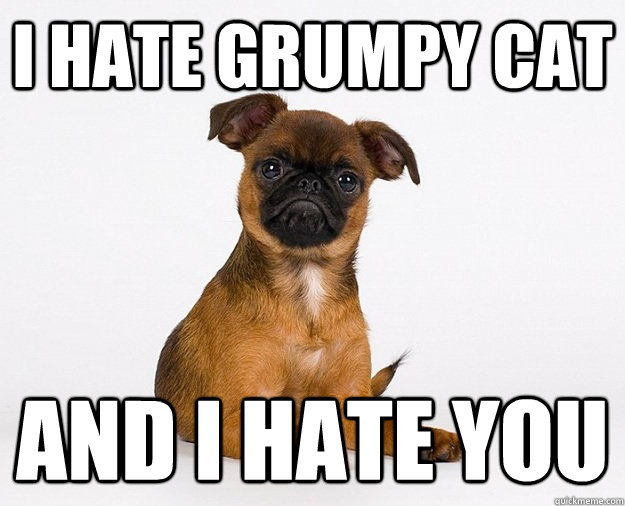 I hate grumpy cat and i hate you - I hate grumpy cat and i hate you  Misc