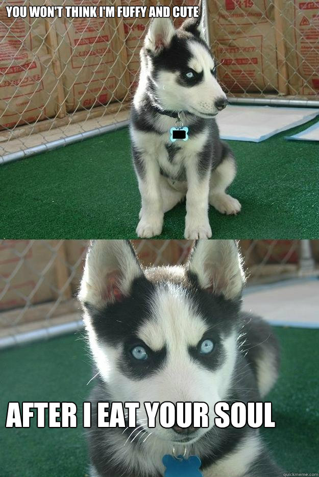 YOU WON'T THINK I'M FUFFY AND CUTE AFTER I EAT YOUR SOUL  Insanity puppy