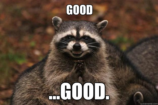 good ...good. - good ...good.  Evil Plotting Raccoon
