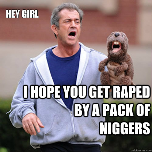 hey girl I hope you get raped by a pack of niggers - hey girl I hope you get raped by a pack of niggers  anti feminist mel gibson