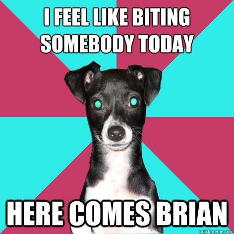 i feel like biting somebody today here comes brian - i feel like biting somebody today here comes brian  Dickhead Dog