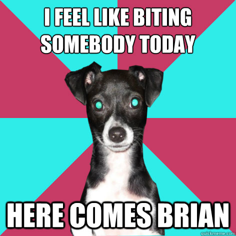 i feel like biting somebody today here comes brian  Dickhead Dog