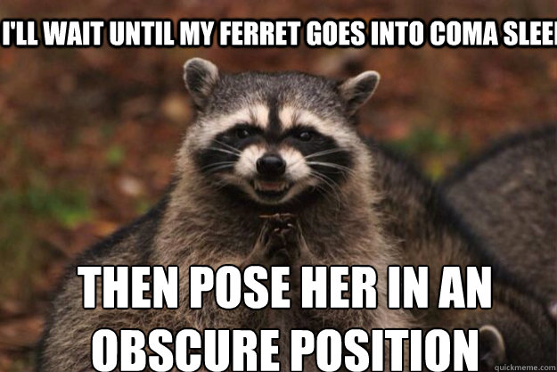 I'll wait until my ferret goes into coma sleep  Then pose her in an obscure position 
  