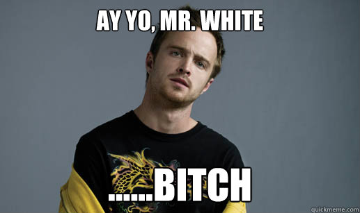 ay yo, mr. white ......bitch  Jesse Pinkman Loves the word Bitch