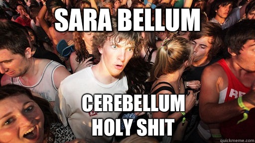 Sara Bellum Cerebellum
Holy shit  Sudden Clarity Clarence