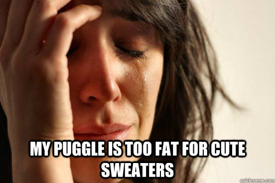  my puggle is too fat for cute sweaters  First World Problems