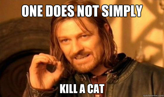 One Does Not Simply Kill a cat  Boromir