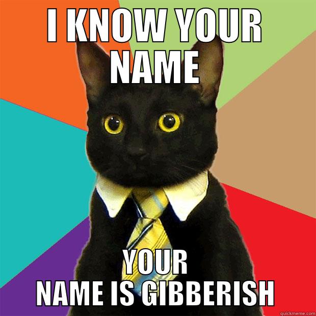 I KNOW YOUR NAME YOUR NAME IS GIBBERISH Business Cat