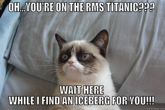 Grumpy Titanic Cat - OH...YOU'RE ON THE RMS TITANIC??? WAIT HERE WHILE I FIND AN ICEBERG FOR YOU!!! Grumpy Cat