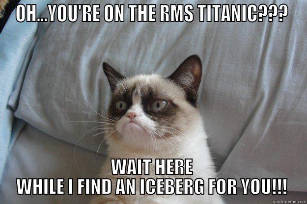 OH...YOU'RE ON THE RMS TITANIC??? WAIT HERE WHILE I FIND AN ICEBERG FOR YOU!!! Grumpy Cat