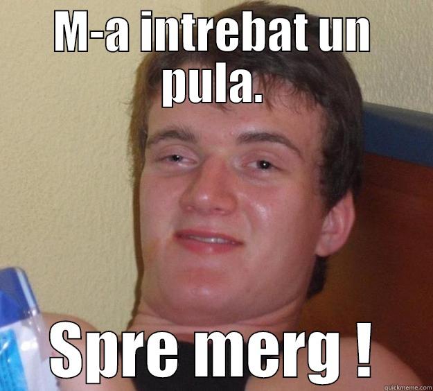 M-A INTREBAT UN PULA. SPRE MERG ! 10 Guy
