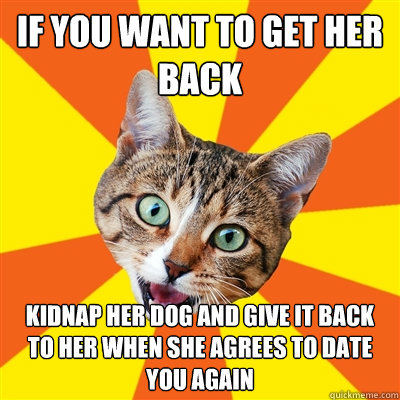 If you want to get her back Kidnap her dog and give it back to her when she agrees to date you again - If you want to get her back Kidnap her dog and give it back to her when she agrees to date you again  Bad Advice Cat