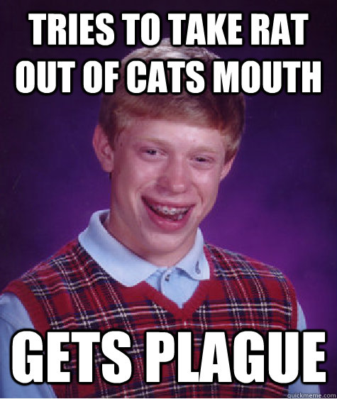 Tries to take rat out of cats mouth gets plague  Bad Luck Brian