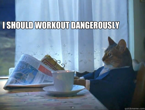I should workout dangerously   The One Percent Cat