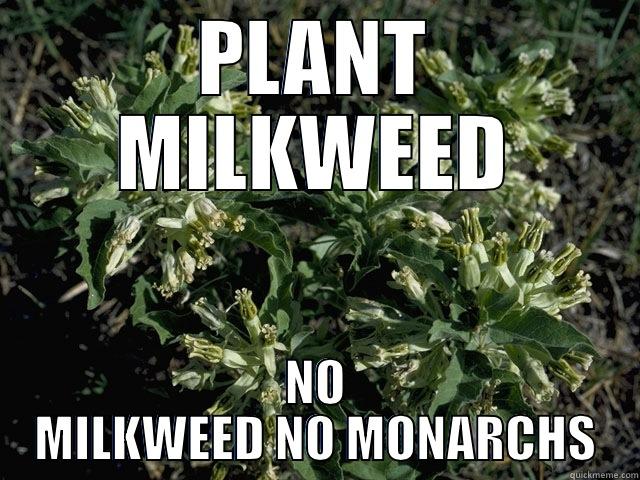 PLANT MILKWEED NO MILKWEED NO MONARCHS Scumbag america