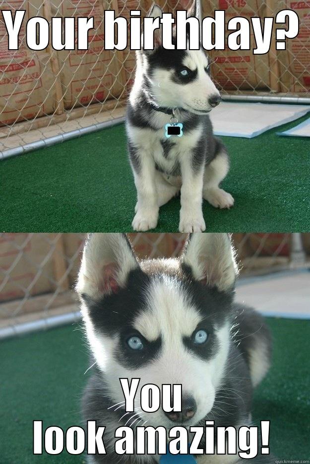 YOUR BIRTHDAY? YOU LOOK AMAZING! Insanity puppy