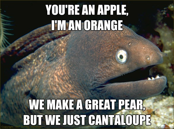 You're an apple,
I'm an orange we make a great pear,
but we just cantaloupe - You're an apple,
I'm an orange we make a great pear,
but we just cantaloupe  Bad Joke Eel