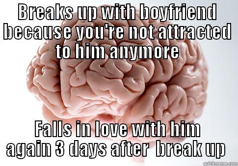 BREAKS UP WITH BOYFRIEND BECAUSE YOU'RE NOT ATTRACTED TO HIM ANYMORE FALLS IN LOVE WITH HIM AGAIN 3 DAYS AFTER  BREAK UP  Scumbag Brain