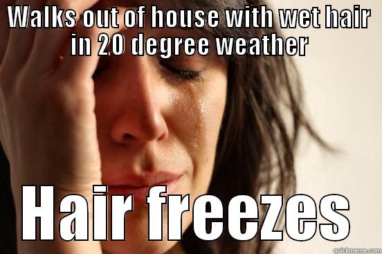 WALKS OUT OF HOUSE WITH WET HAIR IN 20 DEGREE WEATHER HAIR FREEZES First World Problems