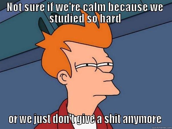 NOT SURE IF WE'RE CALM BECAUSE WE STUDIED SO HARD OR WE JUST DON'T GIVE A SHIT ANYMORE Futurama Fry