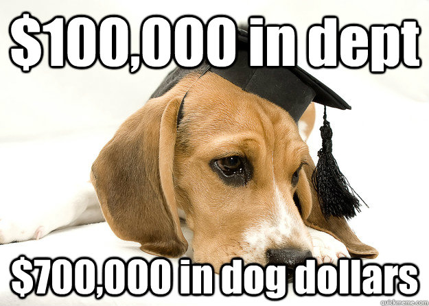 $100,000 in dept $700,000 in dog dollars  Depressed Graduate Dog