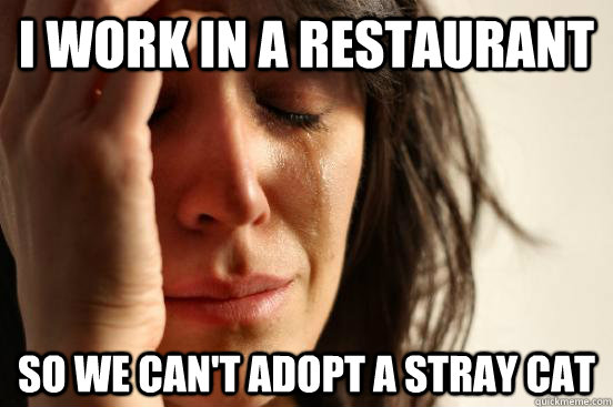 i work in a restaurant so we can't adopt a stray cat  First World Problems