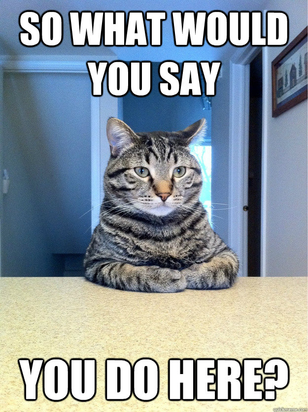 so what would you say you do here?  Chris Hansen Cat