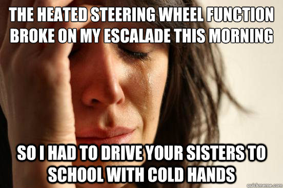 the heated steering wheel function broke on my escalade this morning so i had to drive your sisters to school with cold hands - the heated steering wheel function broke on my escalade this morning so i had to drive your sisters to school with cold hands  First World Problems