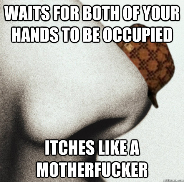 waits for both of your hands to be occupied itches like a motherfucker - waits for both of your hands to be occupied itches like a motherfucker  Misc