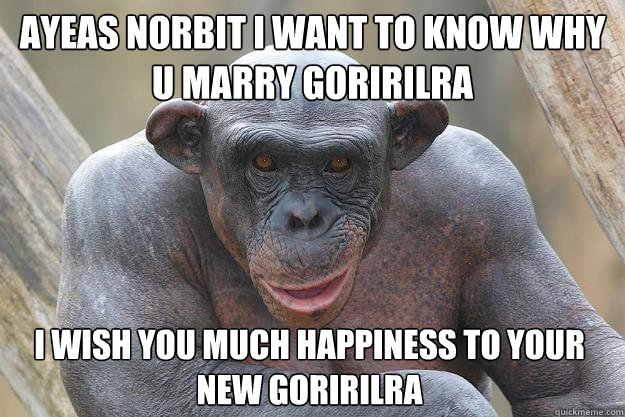 AYEAS NORBIT I WANT TO KNOW WHY U MARRY GORIRILRA I WISH YOU MUCH HAPPINESS TO YOUR NEW GORIRILRA  The Most Interesting Chimp In The World