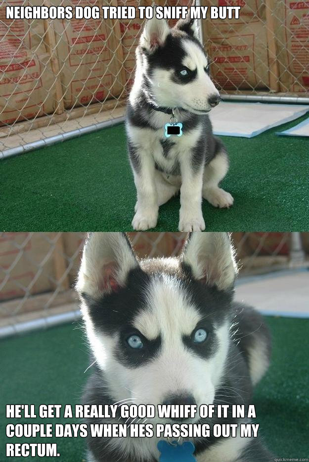 Neighbors dog tried to sniff my butt He'll get a really good whiff of it in a couple days when hes passing out my rectum.  Insanity puppy