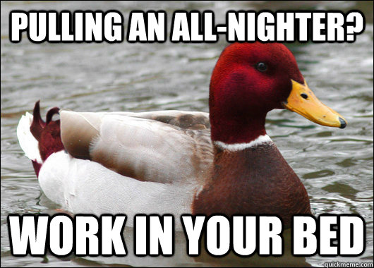 pulling an all-nighter? work in your bed  Malicious Advice Mallard
