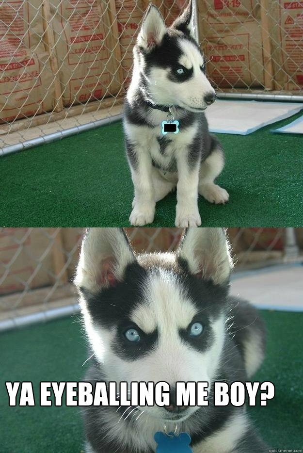  Ya eyeballing me boy?  Insanity puppy