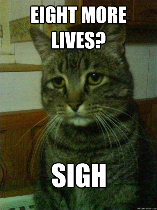 eight more lives? sigh - eight more lives? sigh  Sad Cat Simon