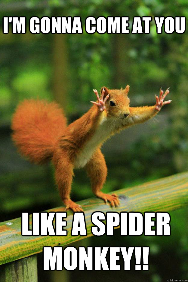 I'm Gonna come at you  Like a spider monkey!! - I'm Gonna come at you  Like a spider monkey!!  Red squirrel
