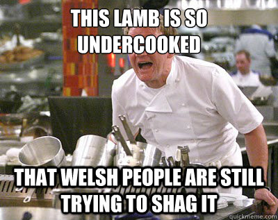 THIS lamb is so undercooked that welsh people are still trying to shag it  Chef Ramsay